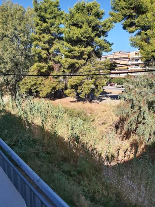 Apartment Getaway In Sparta